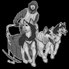 Experience Sled Dogs